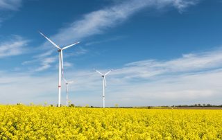 Windräder in einem Feld