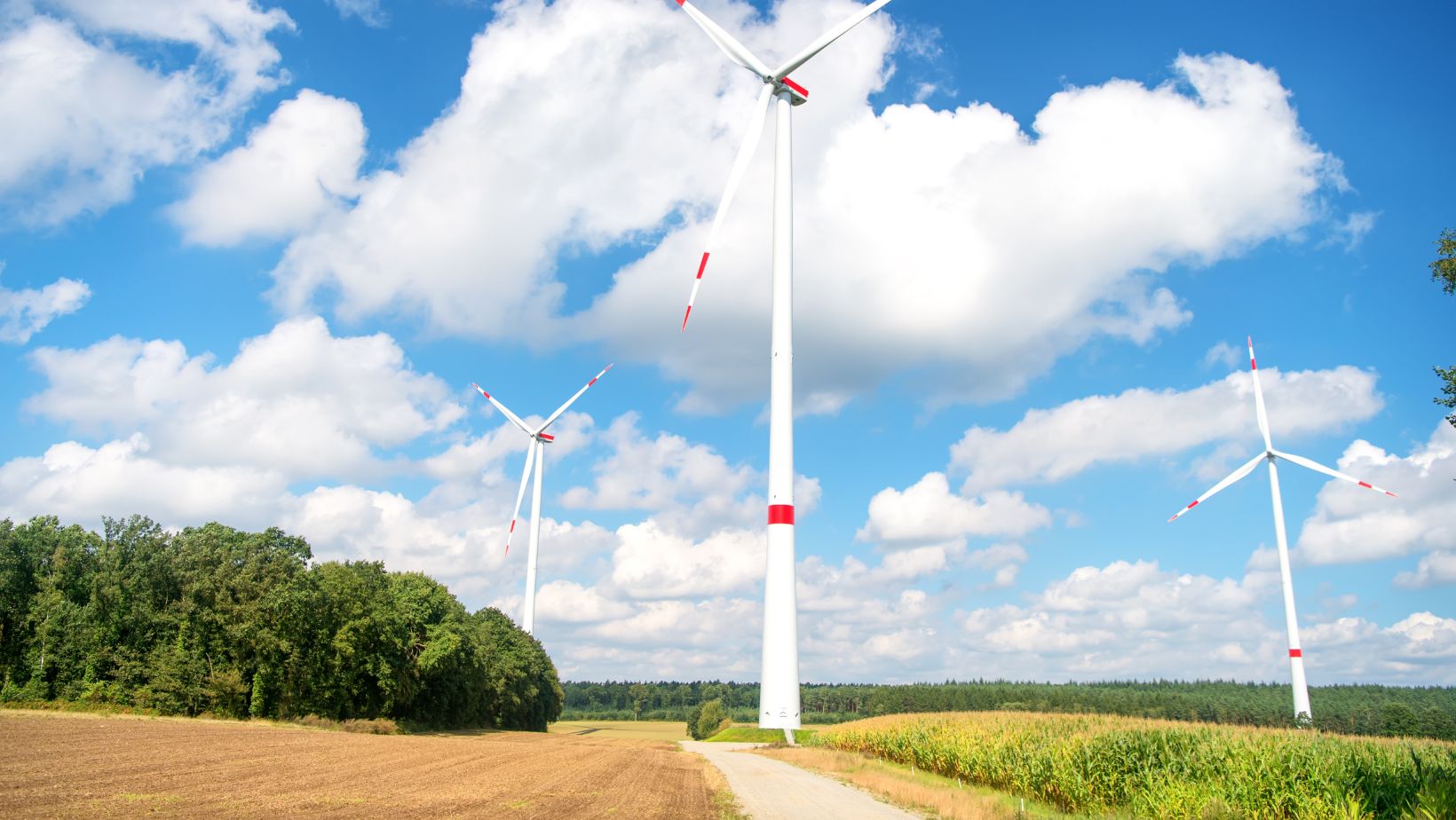 Man sieht zwei Windräder vor blauem Himmel auf einem Feld als Symbolbild für die Beteiligung von Anwohner*innen an Windenergie.
