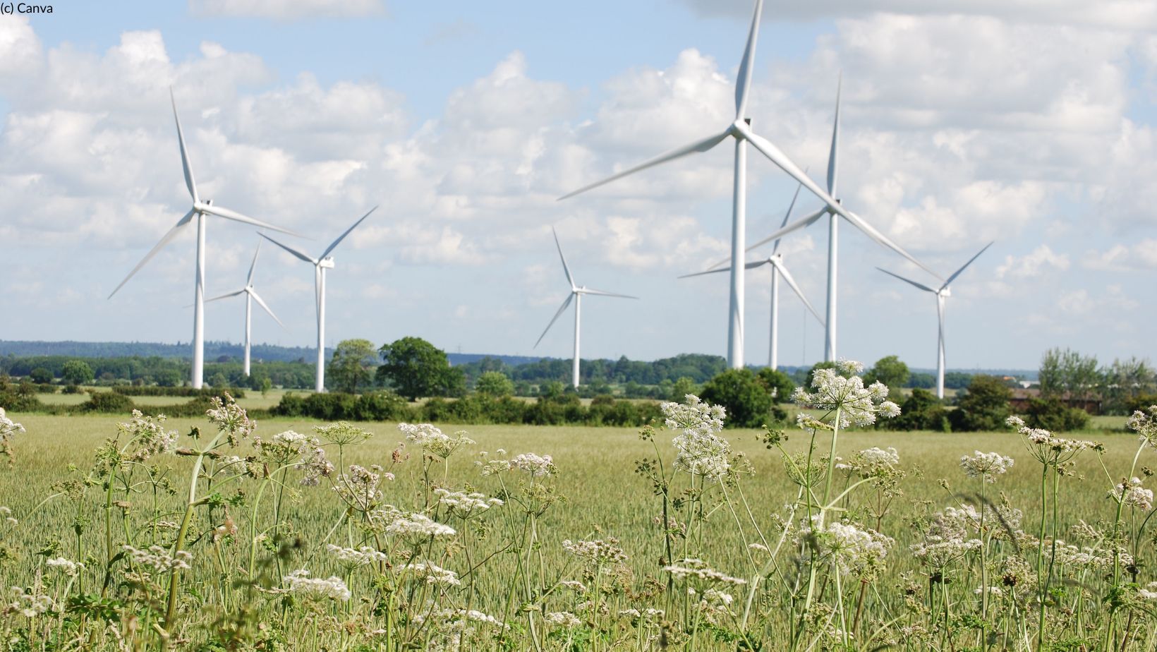 Man sieht Windräder als Symbol für Erneuerbare Energien im Einklang mit der Natur.