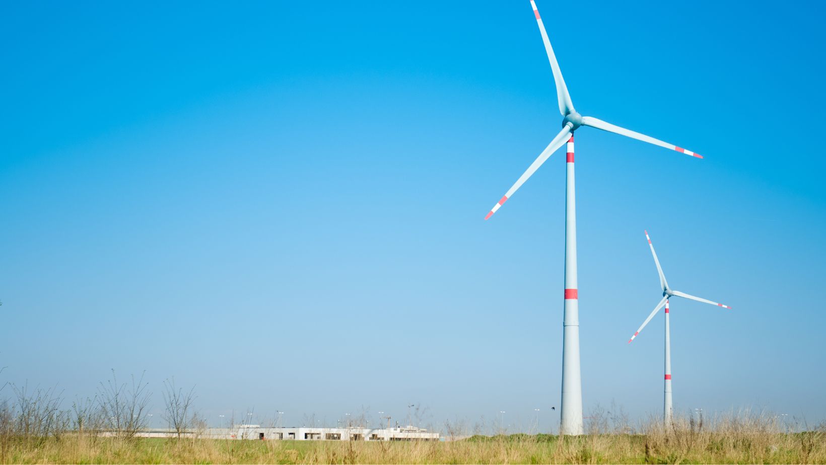 Man sieht zwei Windräder auf einer Wiese vor blauem Himmel als Symbolbild für den Windenergieausbau in Deutschland.