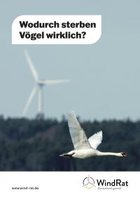 Flyer DIN A5 Artenschutz März 2025