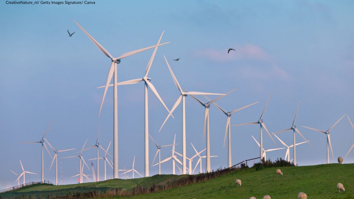Vögel und Windräder